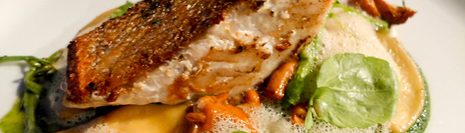 Copyright © Wolfgang Bleier, Austria „excellent